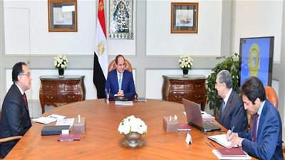السيسي يوجه بتنفيذ مشروعات الربط الكهربائى مع دول الجوار