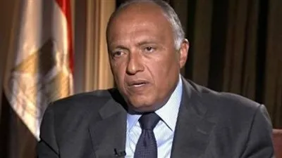 مصر: مستمرون في دعم ليبيا لتحقيق الاستقرار