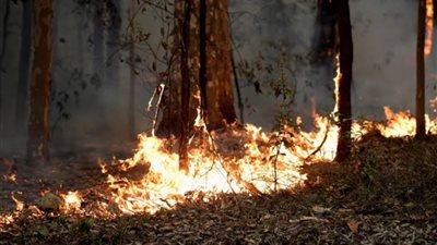 أستراليا تدعو إلى إخلاء جماعي آخر مع عودة حرائق الغابات