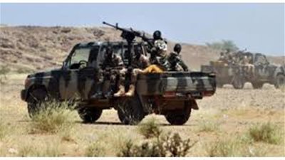 مصرع 25 جنديا في هجوم إرهابي غرب النيجر