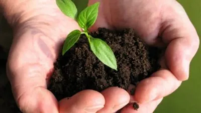 مصر بلا تلوث بحلول 2030.. 10 معلومات عن مبادرة 