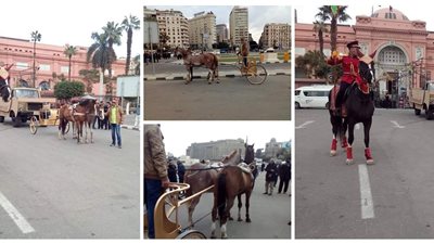 البروفة الأولى لموكب نقل المومياوات الملكية من التحرير للفسطاط (صور)