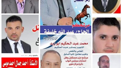  8 مرشحين ينافسون على مقعد مركز ملوي في الانتخابات التكميلية 
