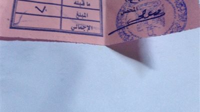 بعد إعلان الكهرباء إلغاء تحصيلها يوليو المقبل.. من يُحصل رسوم النظافة؟