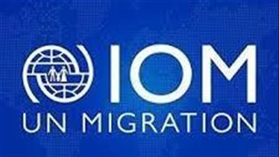 الدولية للهجرة: عودة حوالي 1000 مهاجر إلى ليبيا في عام 2020