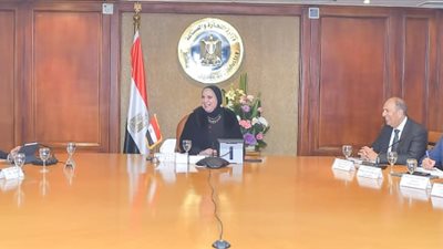 وزيرة الصناعة تستعرض مع البنك الدولي المشروعات الجاري تنفيذها 