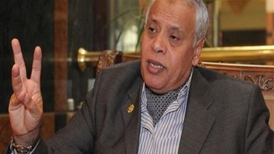 برلماني: مصر متنبهة لحجم العداءات (فيديو)