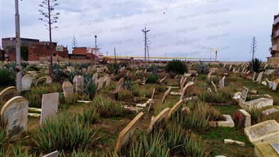 محافظة البحيرة تستجيب لـ