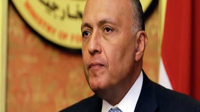 وزير الخارجية يطمئن المصريين بشأن سد النهضة
