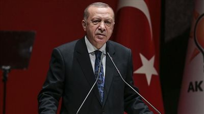 محلل سياسي: أردوغان مجرد أداة في يد قوى معينة 