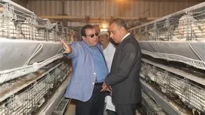 بالأرقام.. إنجازات المشروعات الإنتاجية بسوهاج (صور)