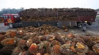 الهند: وزير التجارة لن يجتمع بنظيره الماليزي في دافوس