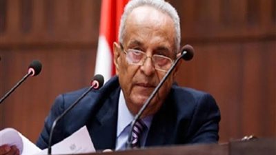 الوفد: حزب مستقبل وطن يمثل تيار الوسط