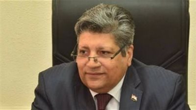 التنمية المحلية: تلقينا 100 ألف شكوى من القمامة