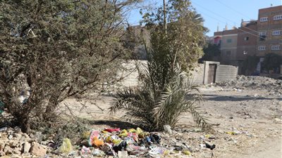 خلال جولة تفقدية.. محافظ قنا يرصد 20 طنًا من القمامة ويأمر برفعها 