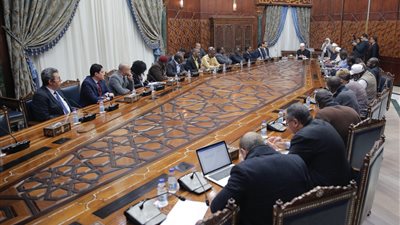 الإمام الأكبر: لولا مصر والأزهر لكان وضع إفريقيا شديد السوء