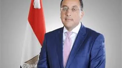 الجريدة الرسمية تنشر اللائحة التنفيذية لقانون الثروة المعدنية