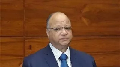 بأمر السيسي.. محافظ القاهرة يشكل فرقا من الطلاب لتشجير محيط المدارس