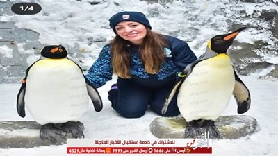 نرمين الفقي تقع في حب وجمال طائر البطريق 