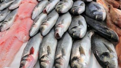 أسعار الأسماك اليوم السبت 25-1-2020 في سوق العبور
