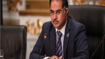 وكيل البرلمان: الجيش والشرطة العيون الساهرة لحماية الوطن (فيديو)