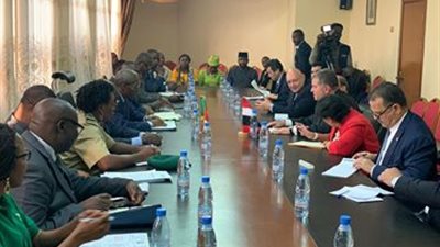 وزير قطاع الأعمال يبحث سبل التعاون مع الكاميرون