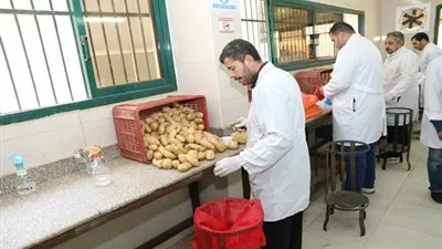 افتتاح وحدة الرصد والمتابعة لمكافحة العفن البني في البطاطس