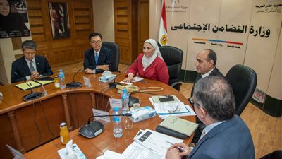 جلسات لإبرام اتفاقية في مجال التأمينات بين مصر وكوريا الجنوبية