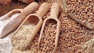 رئيس وحدة التثقيف الغذائي: القمح المستود يتعرض للإشعاع لكي يُحفظ