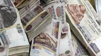 استمرار حبس سائق 