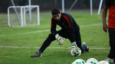 شوبير يجتمع بشريف إكرامي