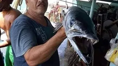 مصرع وإصابة 6 صيادين مصريين في السعودية بعد انفجار مركبهم (صور) 