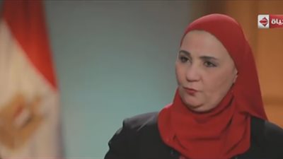 وزيرة التضامن: نتعامل مع فئات حساسة.. ونحاول التوسع في الميكنة