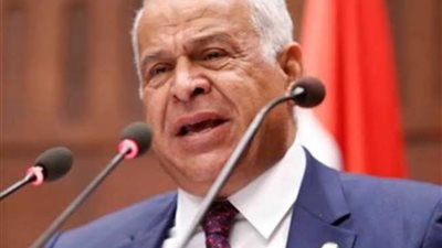 فرج عامر: مصر وجهت رسائل حاسمة للعالم بشأن القضية الفلسطينية