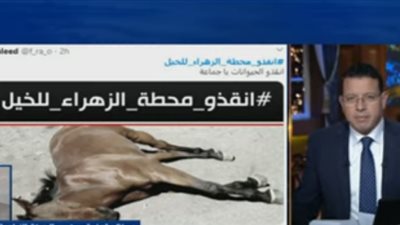 أنقذوا محطة الزهراء تريند على 