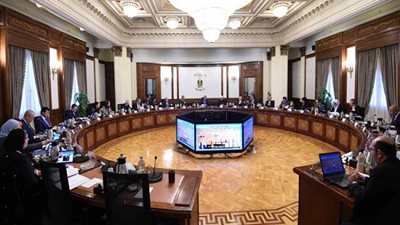 أبرزها ربط الدعم بعدد الأفراد و7 حوافز جديدة.. تفاصيل المشروع القومي لتنظيم الأسرة