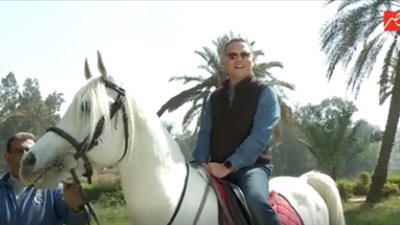 شريف عامر يمتطي حصانا داخل محطة الزهراء