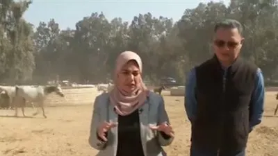 مدير محطة الزهراء: دخلنا 12 مليون جنيه من مزايدات الخيول