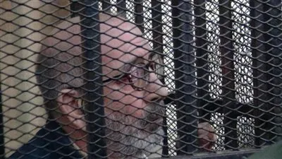 من البداية للنهاية.. كيف تورط شقيق بطرس غالي في تهريب الآثار؟