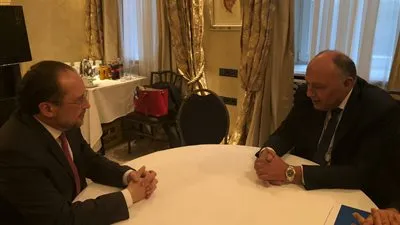 وزير الخارجية: ننسق مع النمسا في مجال مكافحة الهجرة غير الشرعية