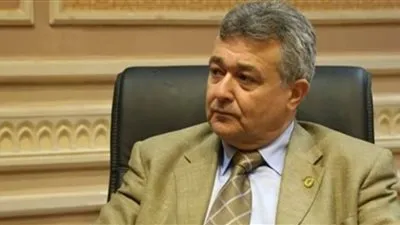 رئيس سياحة البرلمان: عمليات تهريب الآثار ممنهجة منذ 25 يناير