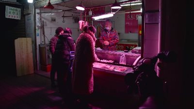 الصين.. المشرعون يدرسون إنشاء قوانين تمنع تناول الحيوانات البرية