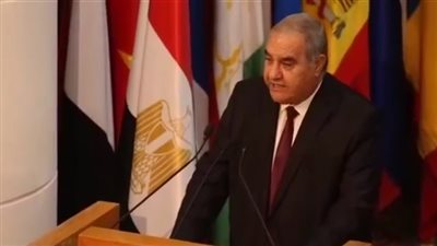 رئيس الدستورية العليا: مصر عاقدة العزم على دحر الإرهاب مهما كلف