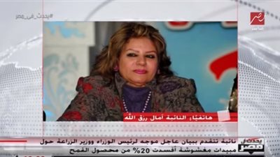 نائبة تتقدم ببيان عاجل لوزير الزراعة بسبب 