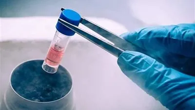 أستاذ بجامعة هارفارد يكشف معلومات صادمة عن العلاج بالخلايا الجذعية