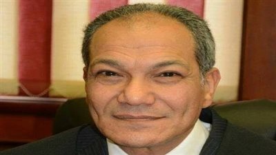 د. بهاء حلمي يكتب: هل الإرهابيون الأجانب..مقاتلون؟