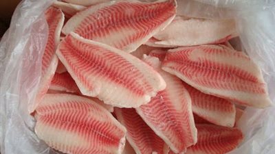 عاجل.. مركز سموم يحذر المواطنين من مخاطر 