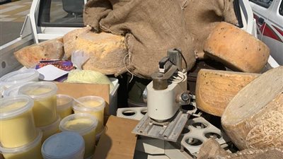 ضبط كميات كبيرة من الجبن الأبيض والرومي الفاسد ببورسعيد 