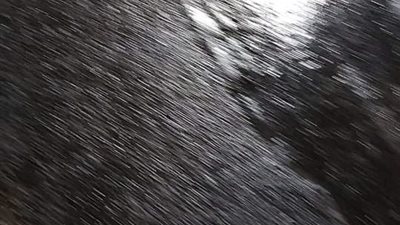 أمطار غزيرة بمنطقة شقير شمال مدينة الغردقة