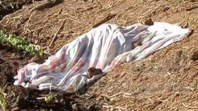 عود قصب يتسبب في مصرع طالب في المنيا 